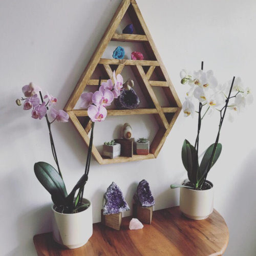 Orchids and crystals hanging on wall
